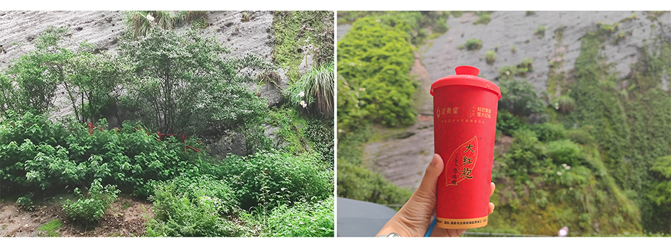 ok钱包官网-全球当先的数字钱包平台